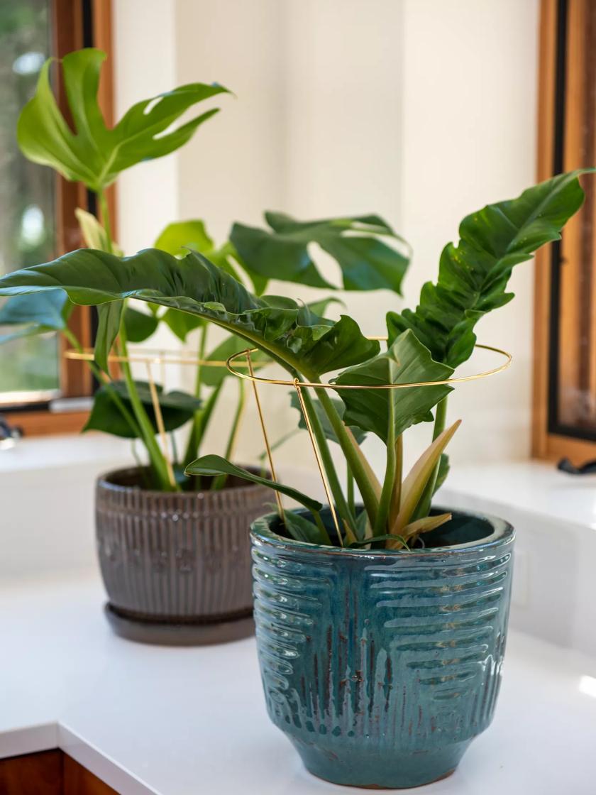 Brass Plated Grow Throughs, Set of 2