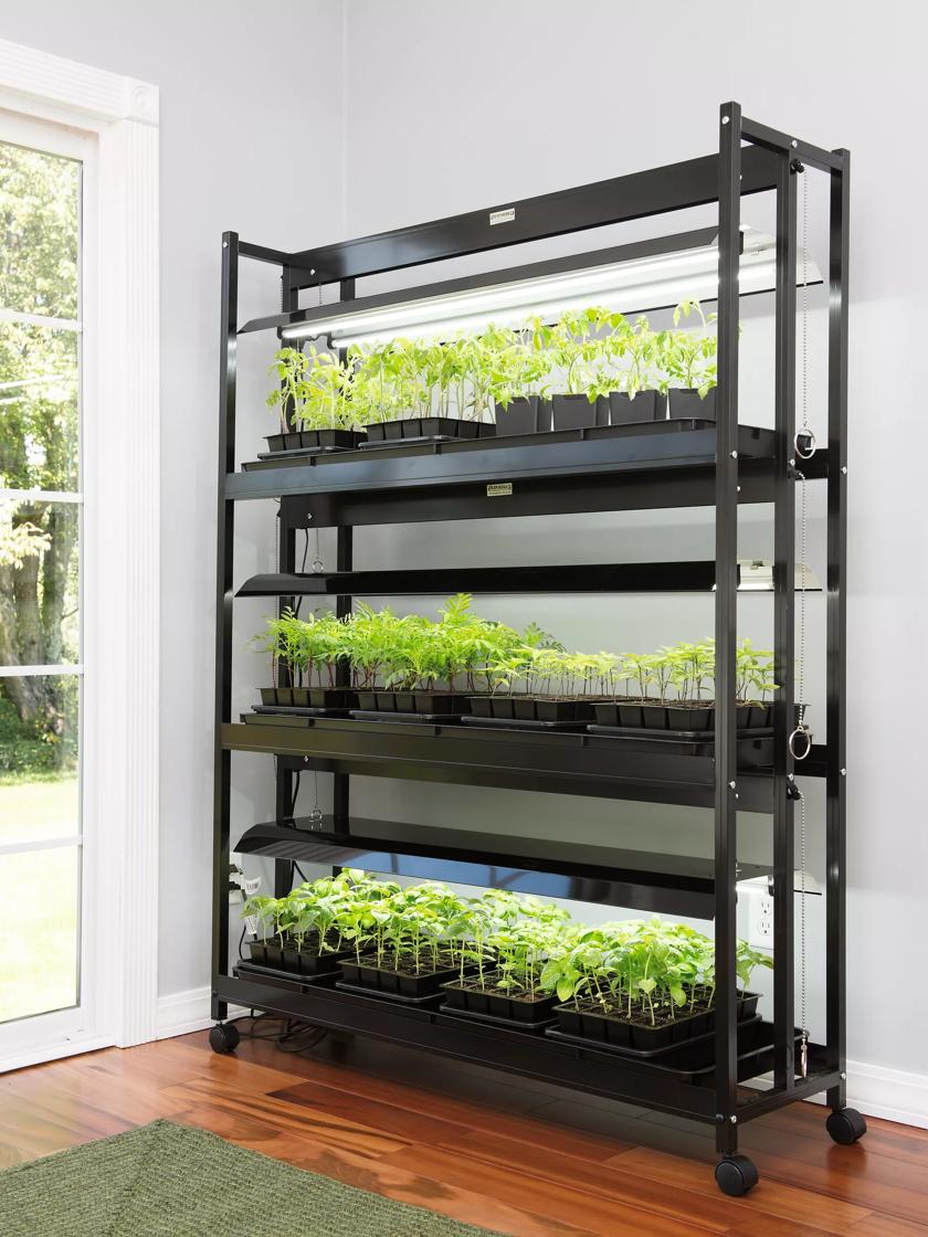 Grow light store system for seedlings