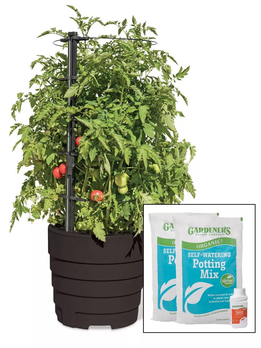 11 Tips for Growing Terrific Tomatoes in Pots