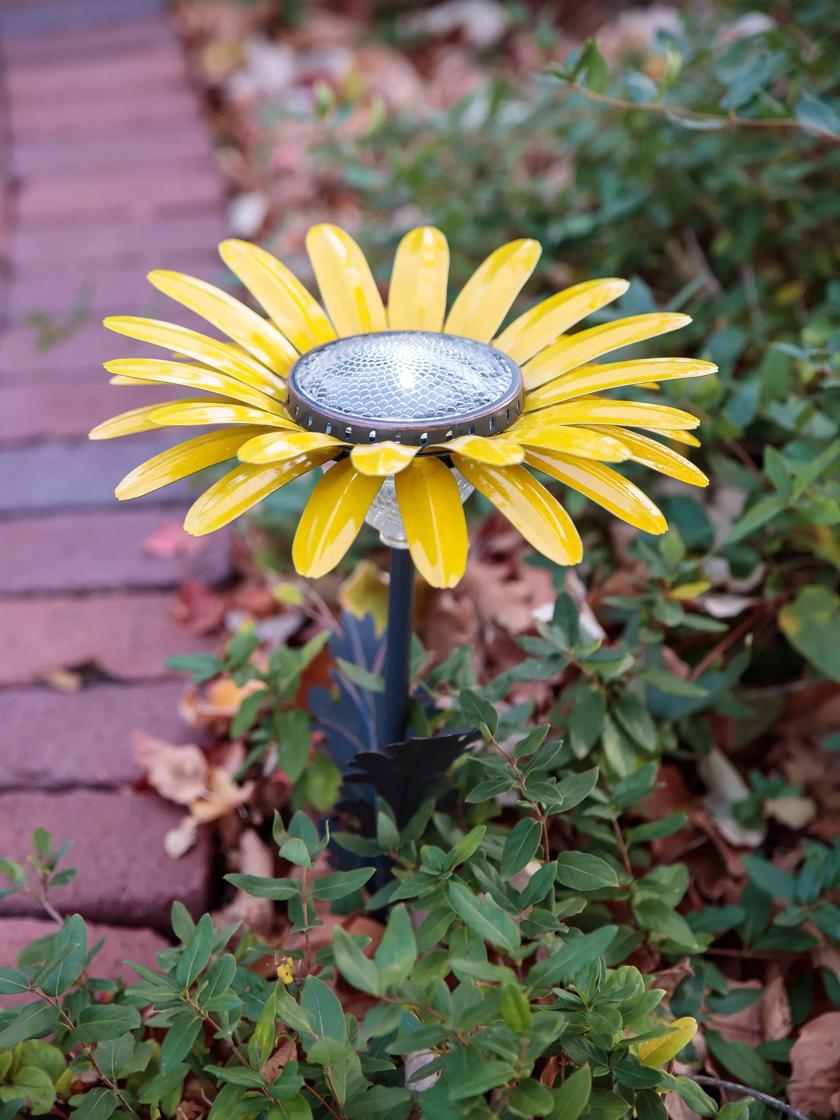 Daisy solar deals lights