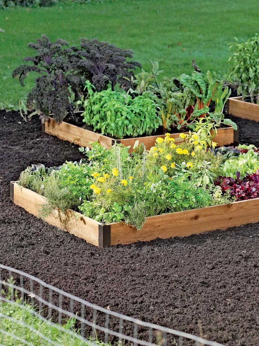 3 Reasons Raised Beds Are Better for Gardening • Gardenary