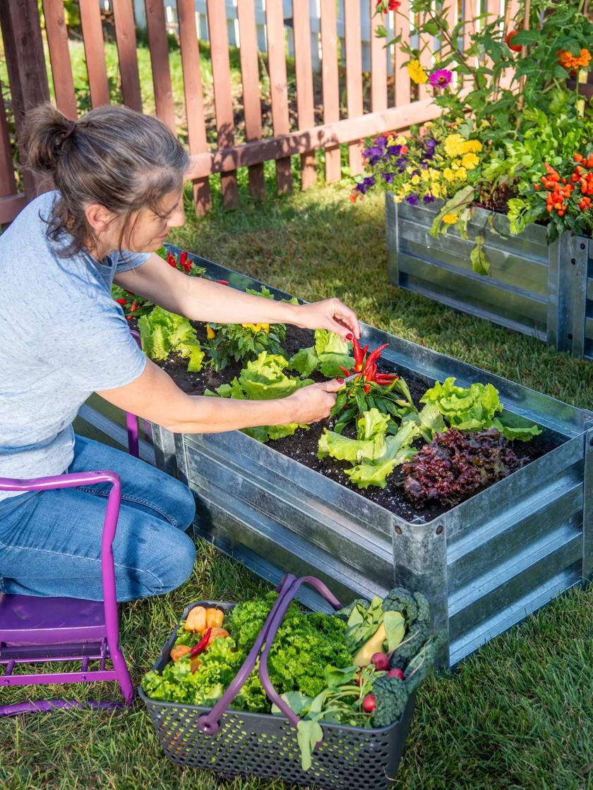 Bolton Heavy Duty Raised Bed
