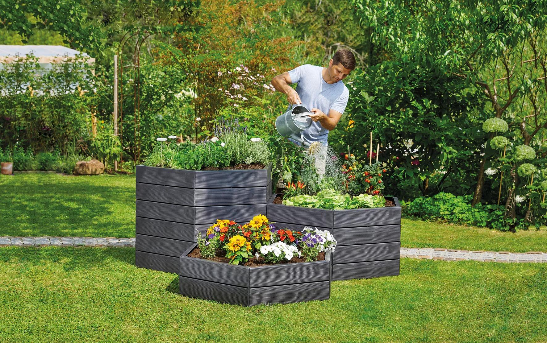 Image of Hexagonal raised bed in a backyard