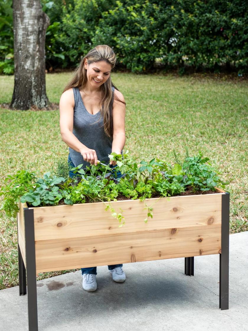 Self-Watering Elevated Cedar Box 2x4 | Gardener's