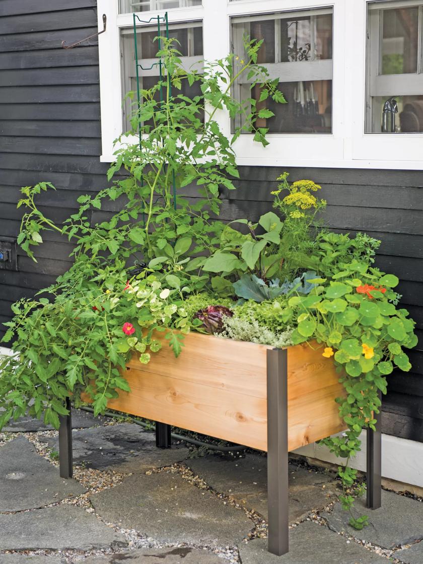 Natural Cedar Elevated Garden Planter