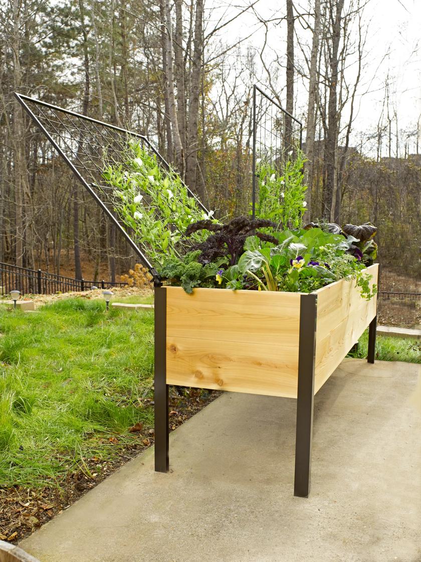 Self-Watering Elevated Cedar Planter Box, 2' x 4