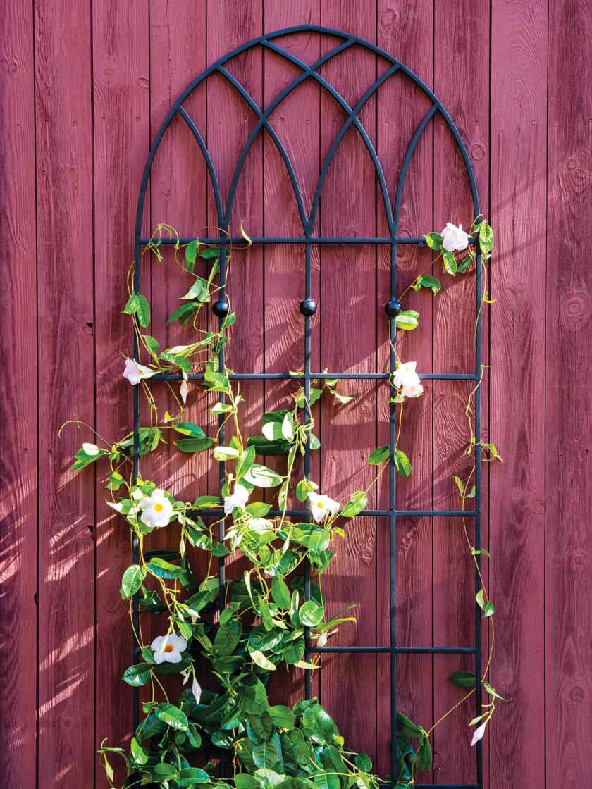 Gothic Wall Trellis 70