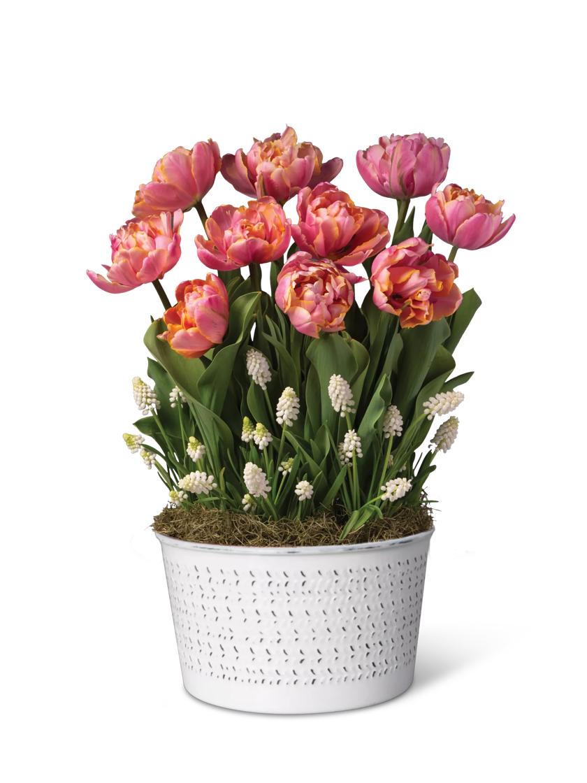 Coral Cheer Bulb Garden