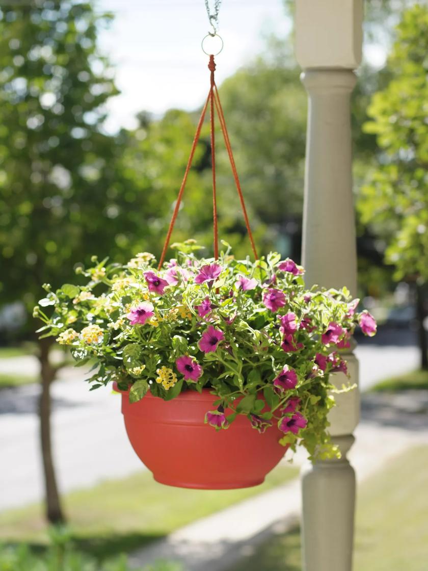 Hanging Baskets for Plants, Self Watering | $125+ Orders Ship Free