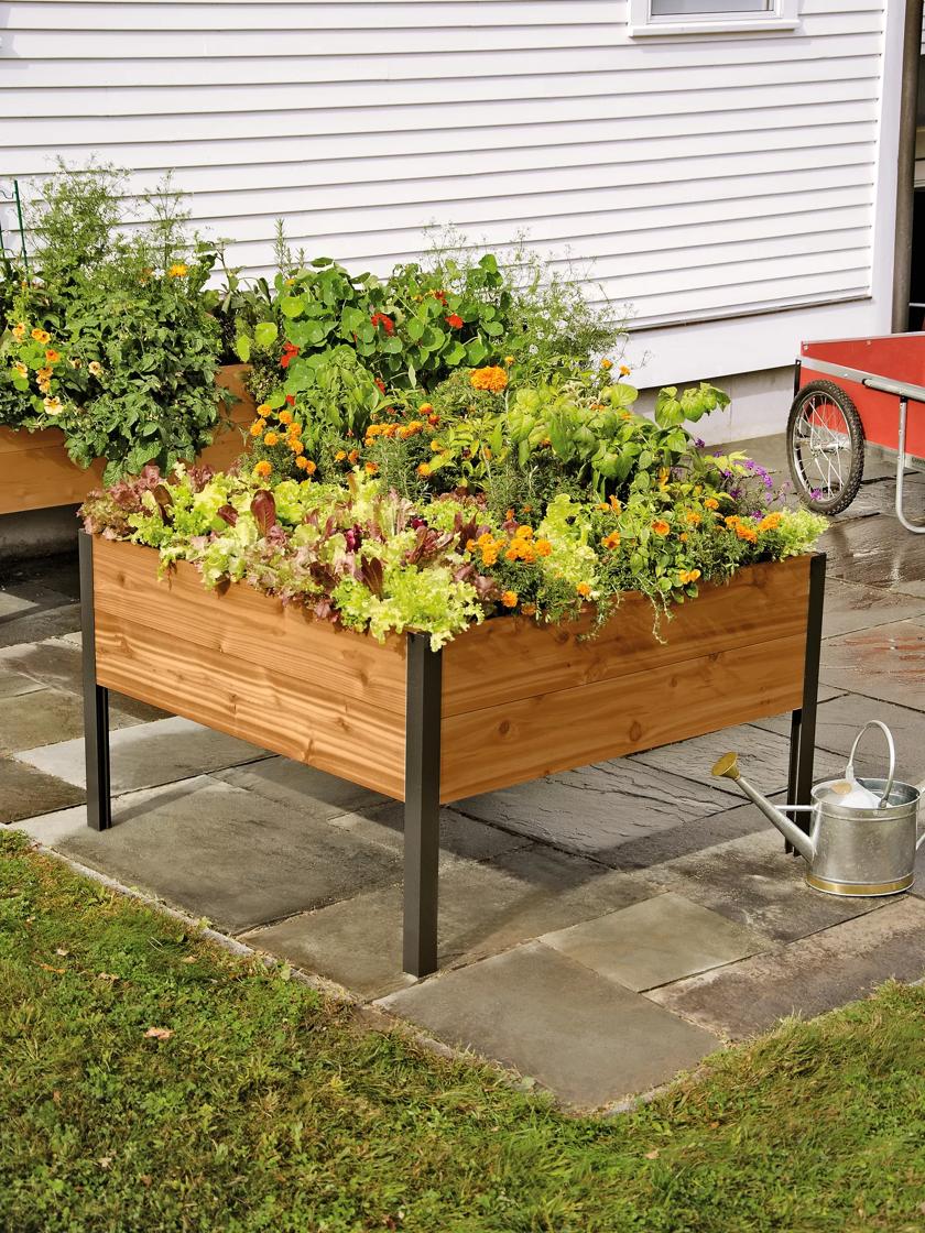 Gardener's Supply Company Raised Garden Bed Elevated Cedar Planter Box | 2'  x 8' Standing Garden for Outdoor Plant Vegetables & Flower Gardening