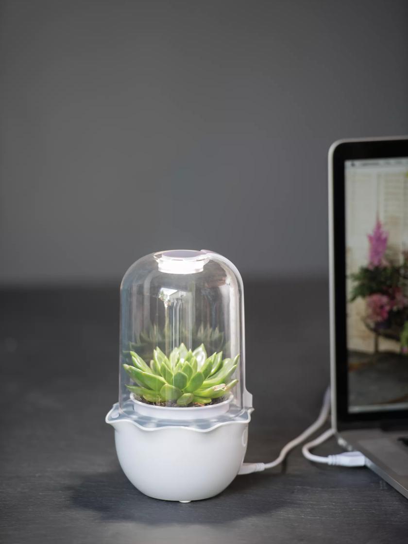 Product Img
