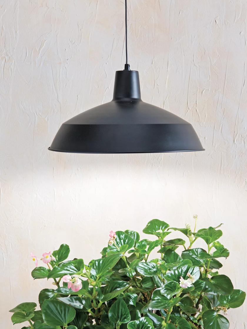 Barnyard Pendant LED Plant Light Gardener s Supply