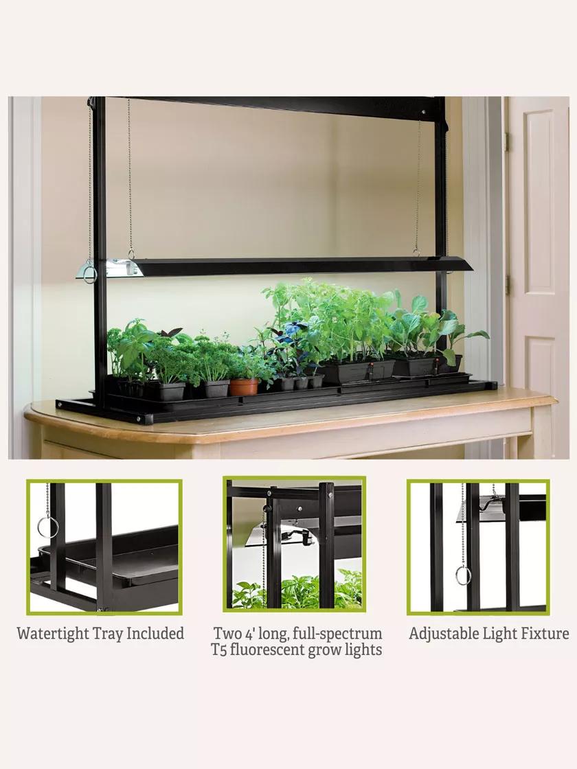Tabletop Sunlite Garden