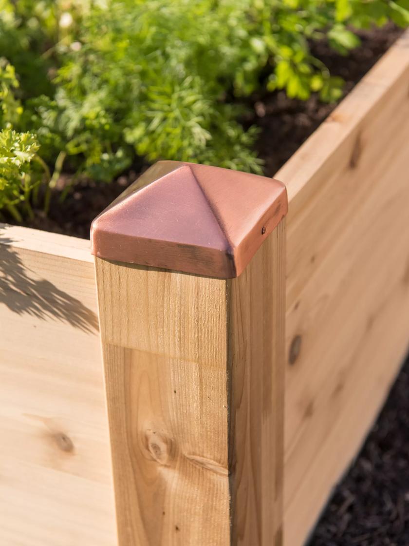 COPPER CAP RAISED BEDS