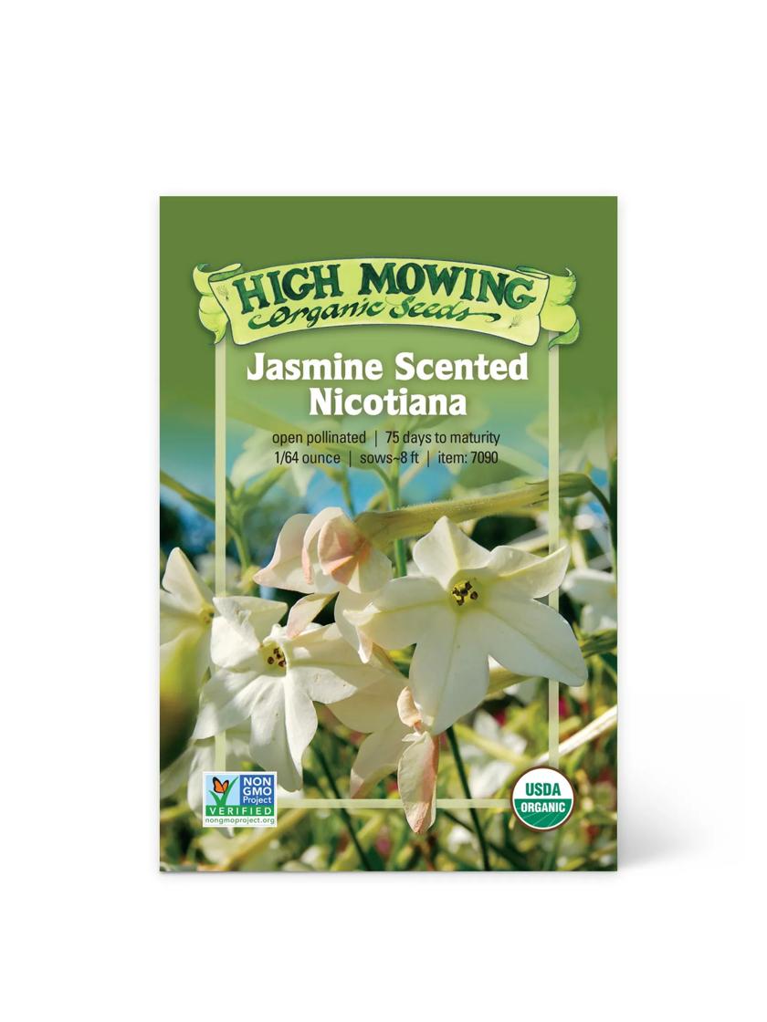 Jasmine Scented Nicotiana Organic Seeds