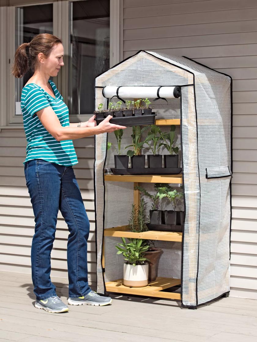 Vegtrug™ Patio - Mini Greenhouse | Gardeners.com