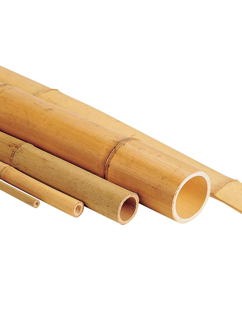 Bamboo Sticks Wooden Sticks for Craft Work and School Project Making ( 50  Sticks) 9 inches Approx.