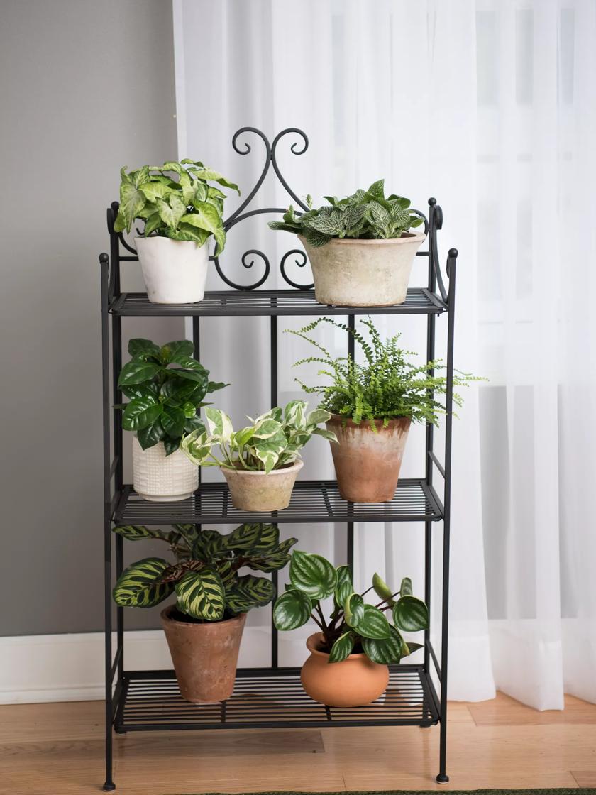 stoeprand klap team Esschert Folding Etagere - Indoor Outdoor Plant Stand | Gardeners.com