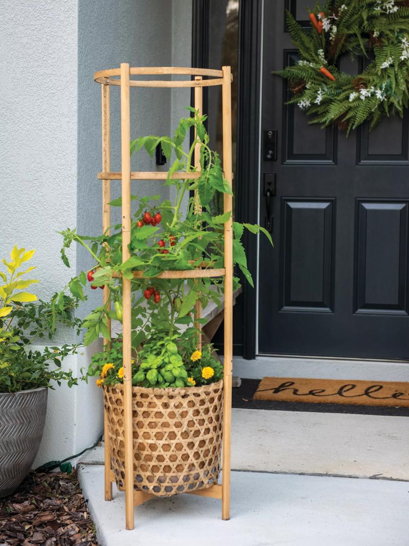 https://assets.gardeners.com/transform/PDP_Main/6bf0b705-2816-4b01-b2db-791fc358eae2/8613502_0435_elevated-bamboo-tomato-planter-and-trellis