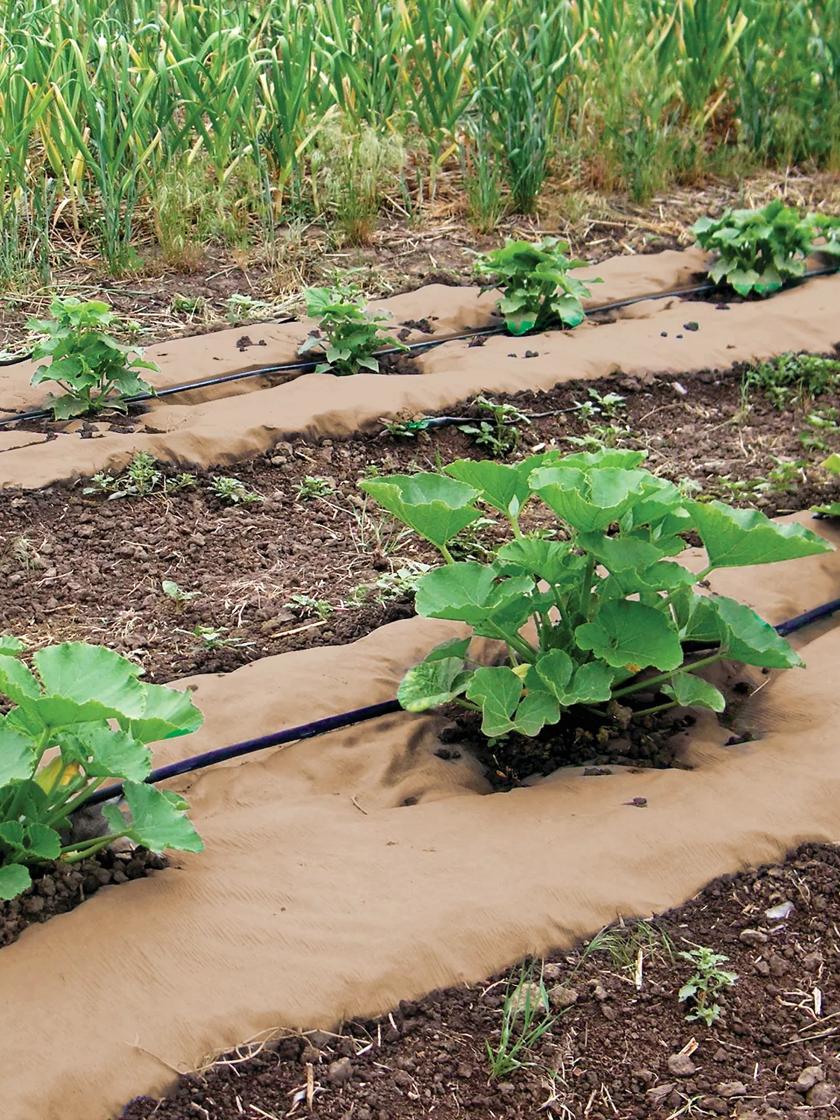 Biodegradable Landscape Fabric - Garden Paper Rolls For Weeds