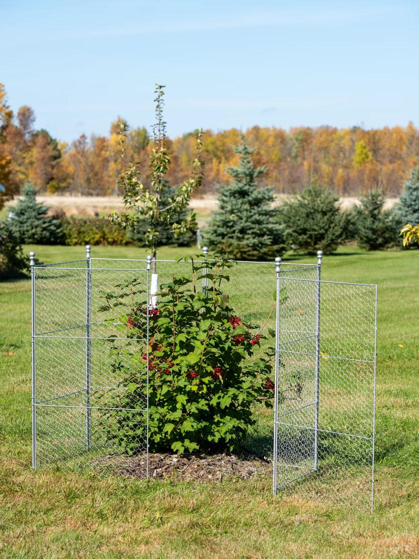 Chicken wire store fence post