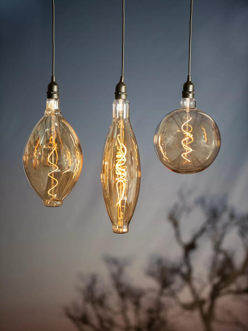 Retro Essence Vintage Led Light Bulbs | Gardener's Supply