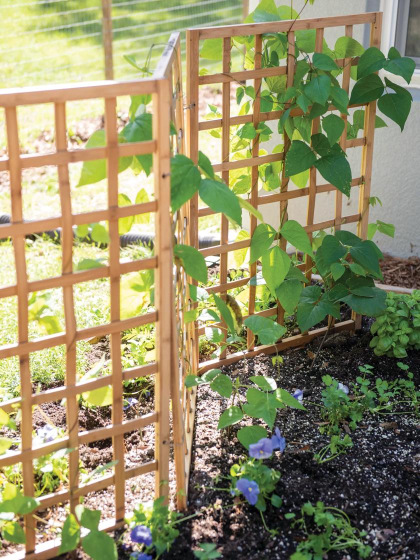 Shop Supports and Trellises