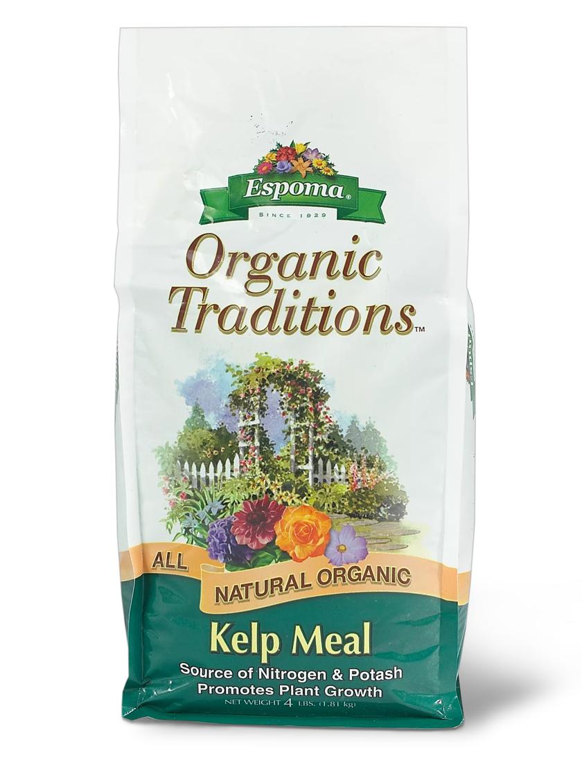 Kelp meal deals