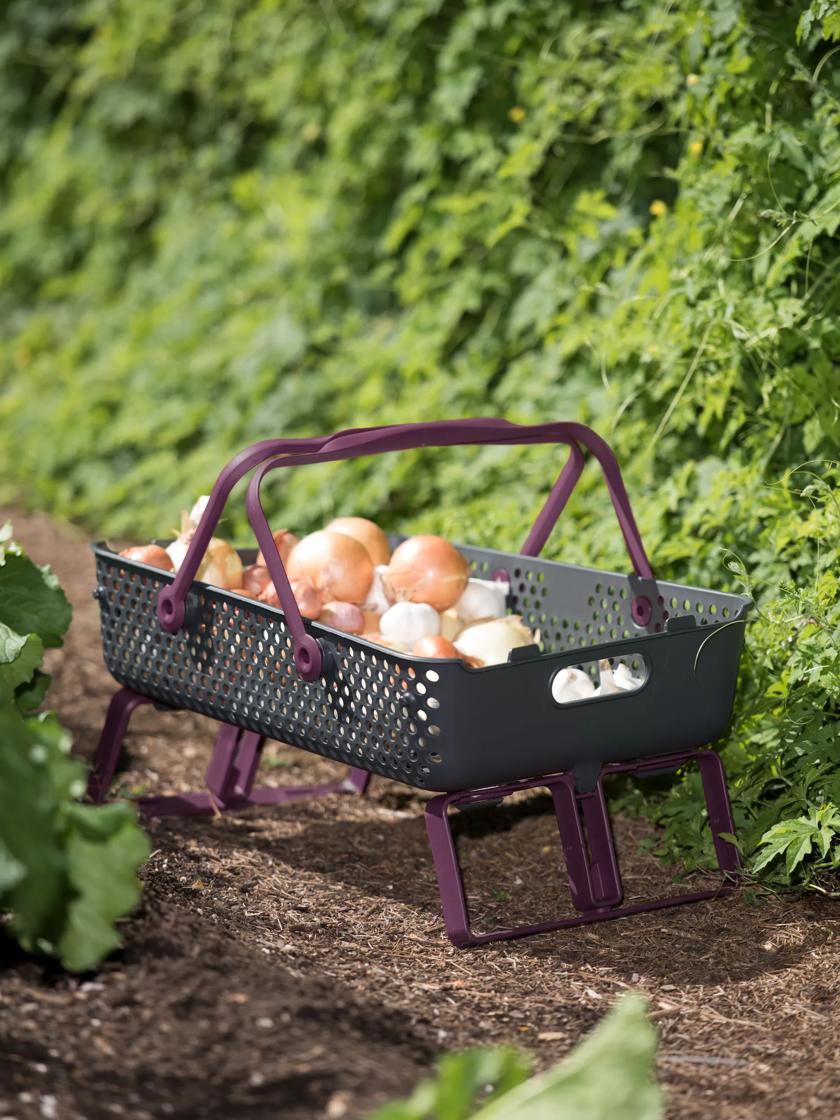 Shop Trugs & Harvest Baskets