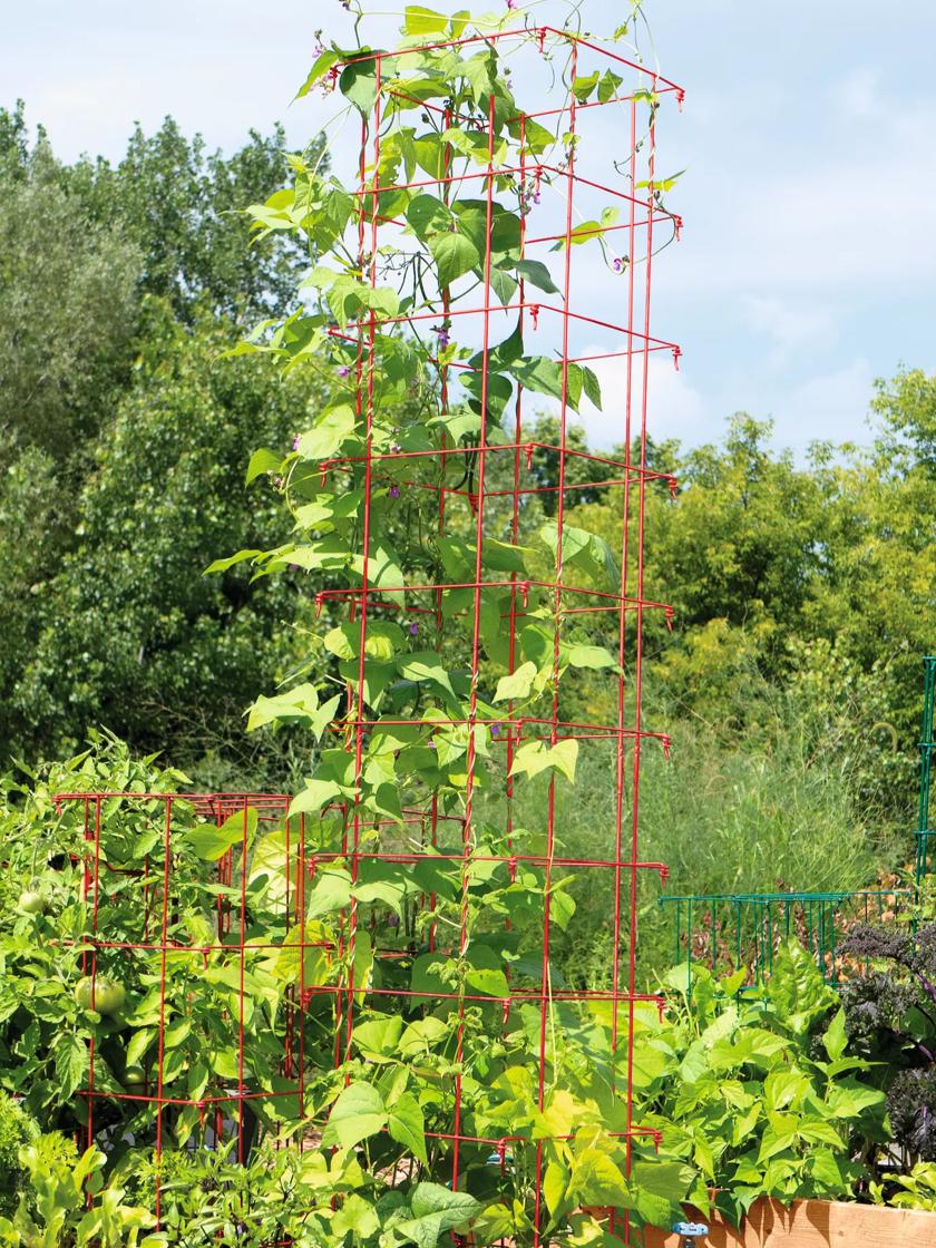 Bean Tower