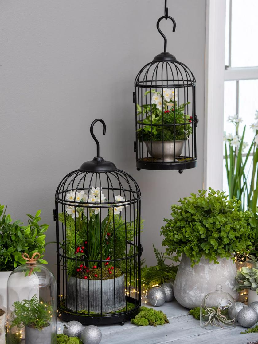 Bird Cage Hanging Basket with Liner