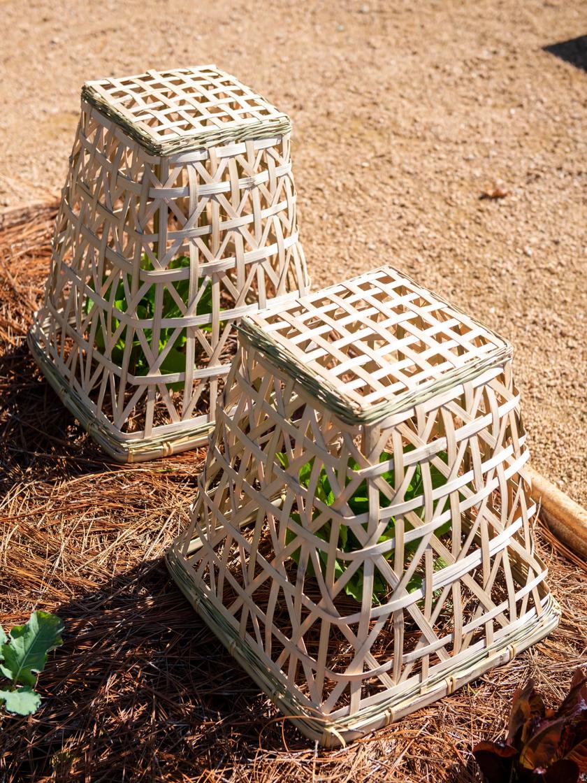 Bamboo Cloche, Set Of 2 Gardener's Supply