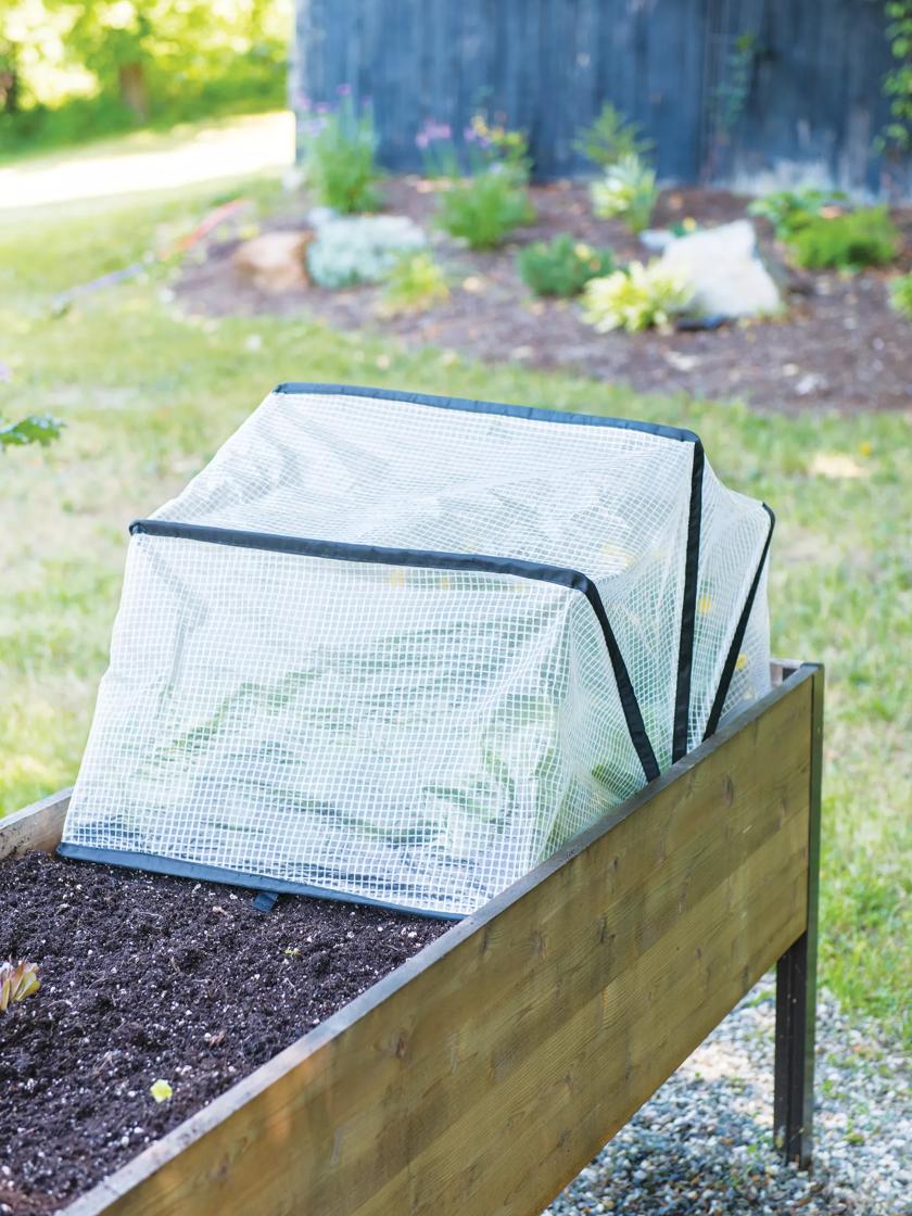 Pop Up Crop Protector Gardener s Supply