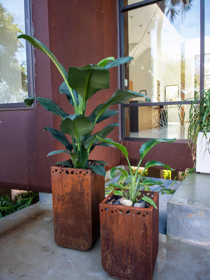 Corten Tall Leaf Rim Patio Planter