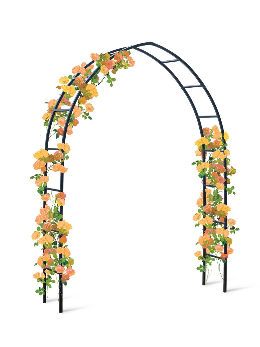 Gothic Arch