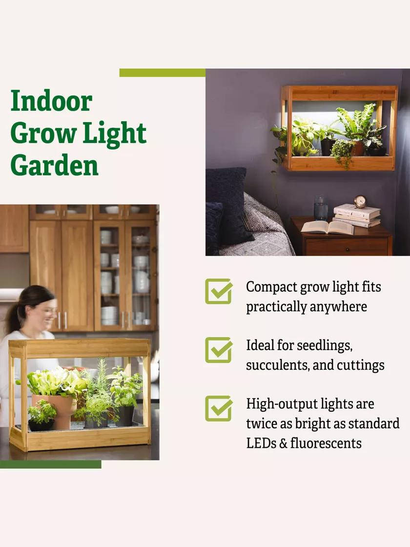 Bamboo Mini LED Grow Light Garden Gardener s Supply