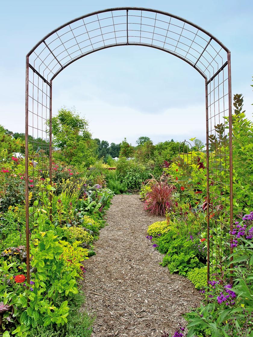 Metal garden arch online with seat