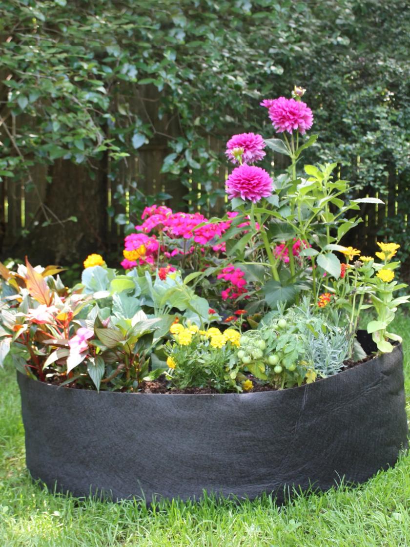 Indoor Outdoor Planting Bags, Round Planting Bags, Garden Vegetable Garden  Seedling Cultivation Bags, Vegetable Grow Bag, Growing Cultivation Plant Bag  