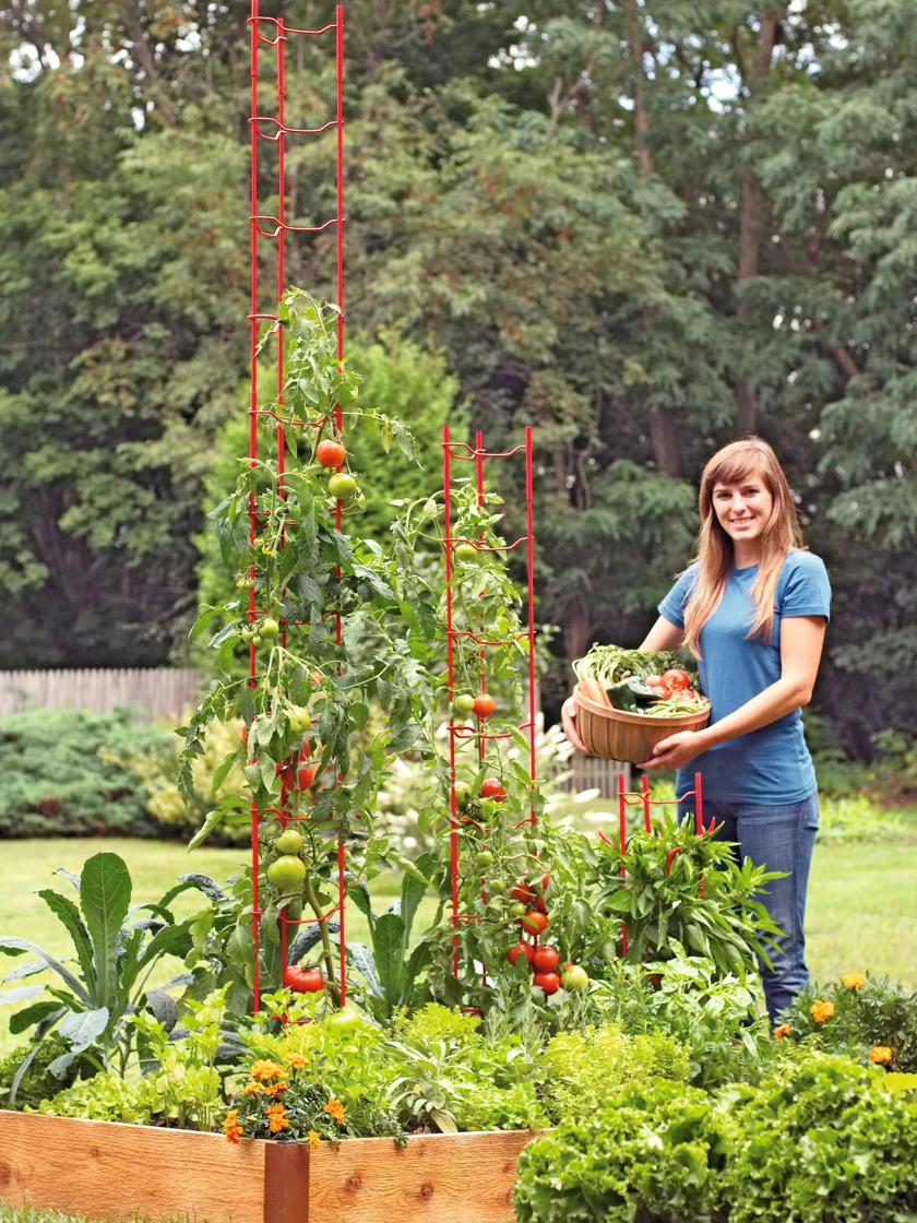 Stacking Tomato Trellis