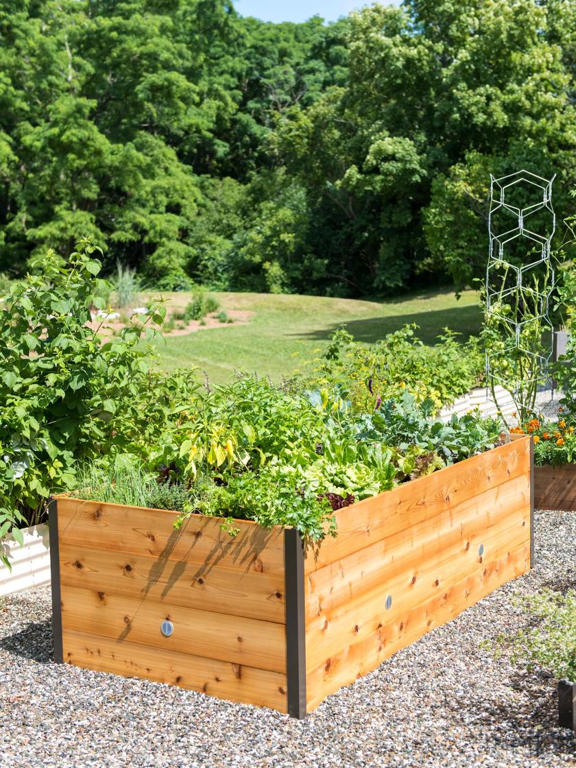 Cedar Complete Raised Garden Bed Kit - 8' x 16