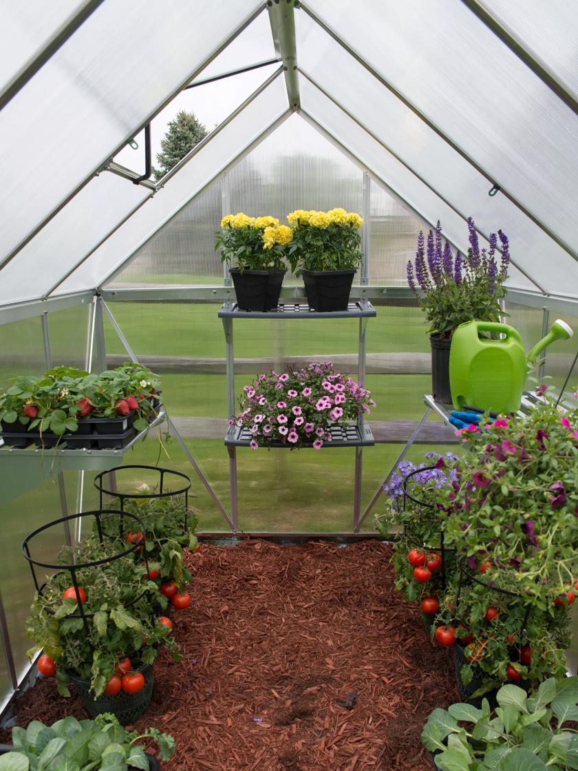 Greenhouse Plastic Shelf- 4 Units