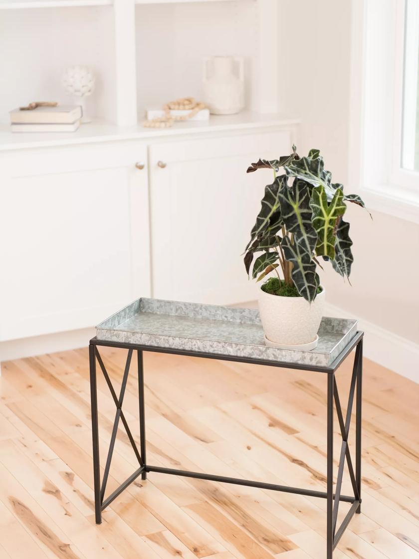 Console table store plant stand