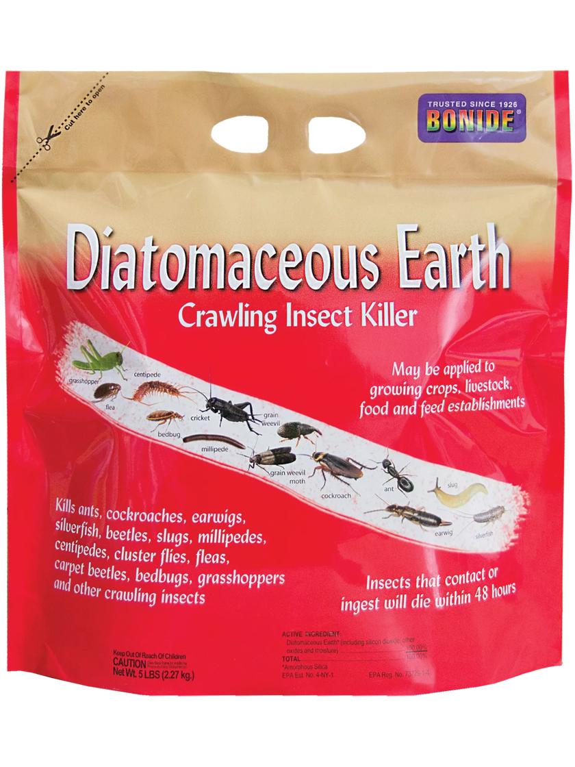 diatomaceous earth