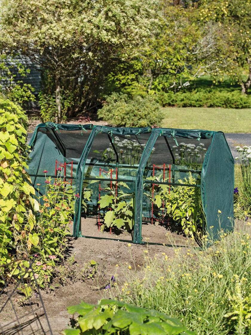 Garden Protection Tent Low Tunnel Hoop House Kit