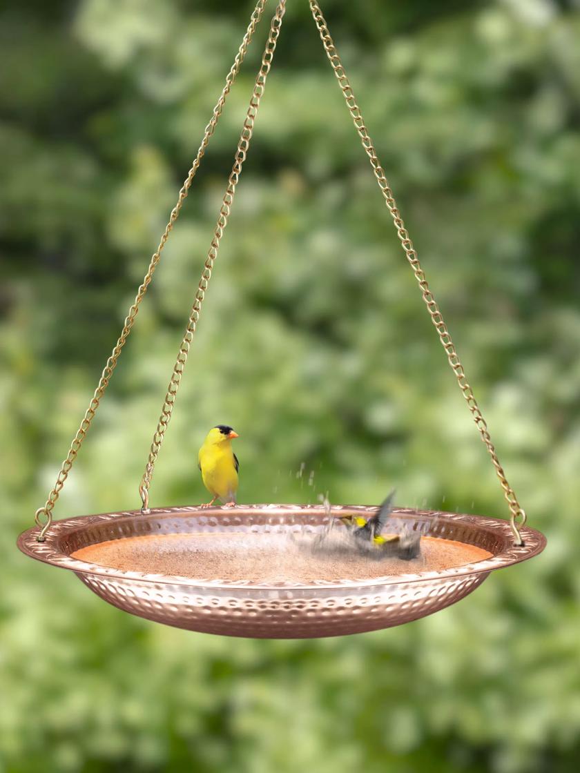 Hanging water bowl for birds hotsell