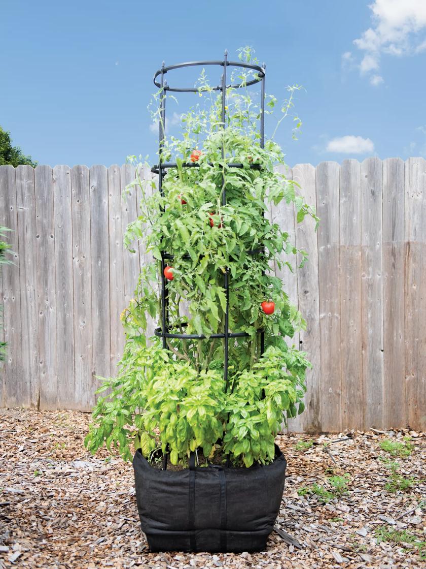 Start a Grow Bag Garden and Water It EASILY 