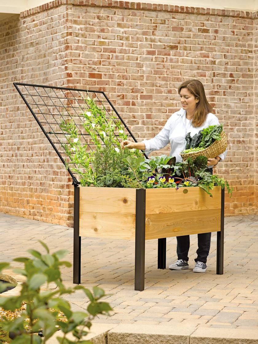 Self-Watering Elevated Cedar Planter Box, 2' x 4