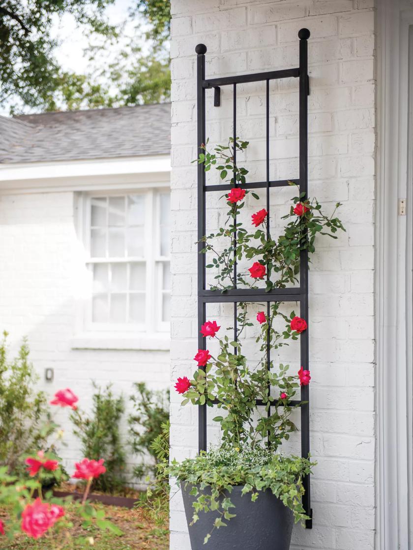 Wall Creeper Plant Trellis Tote Bag