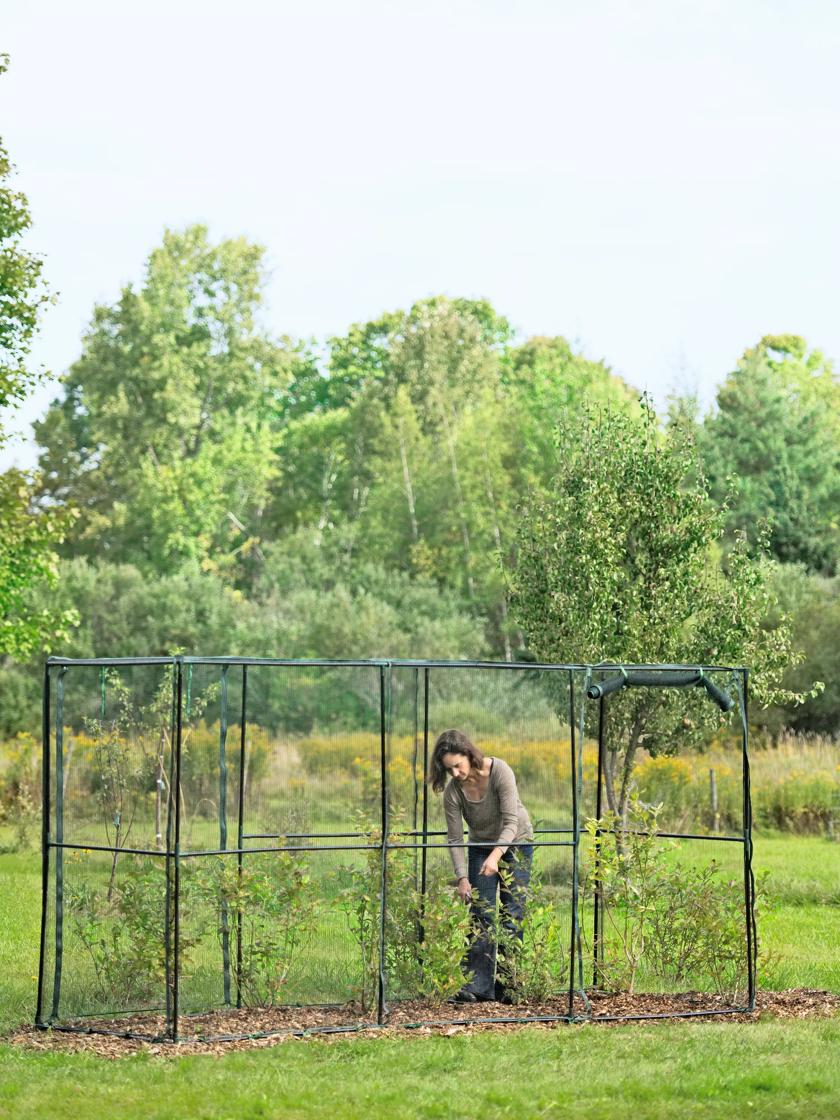 Agrès cage de foot universelle - Couleur Garden