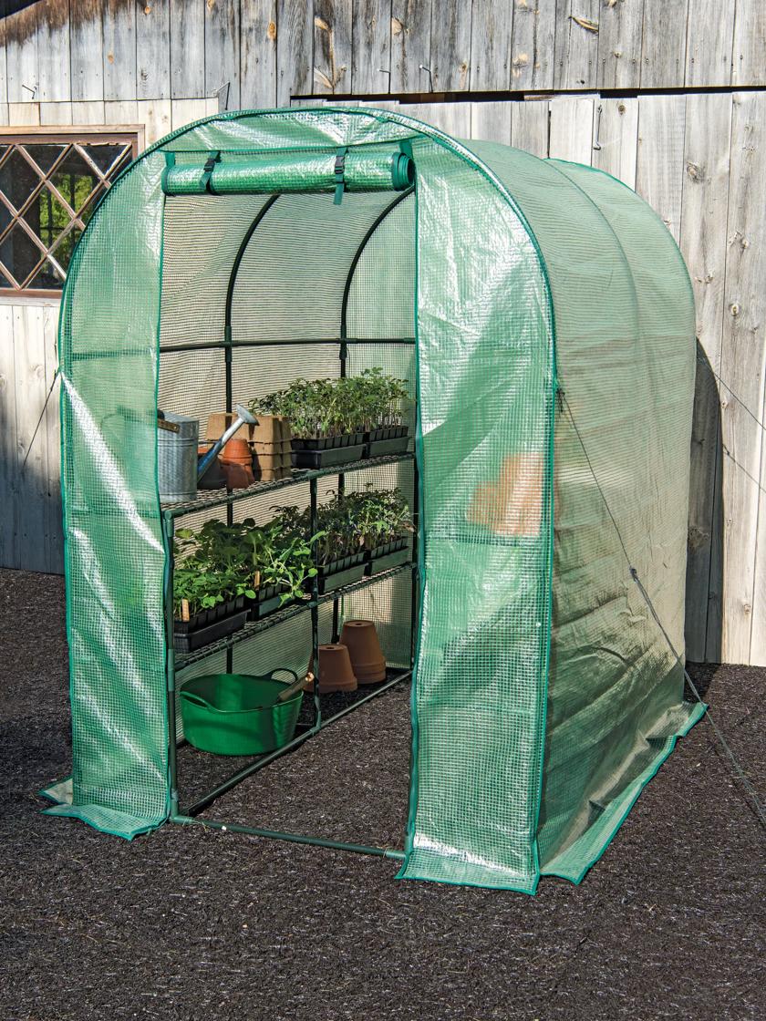 Springfield Small Greenhouse with Shelves - Hothouse